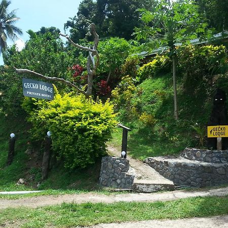 Gecko Lodge Fiji Savusavu Dış mekan fotoğraf