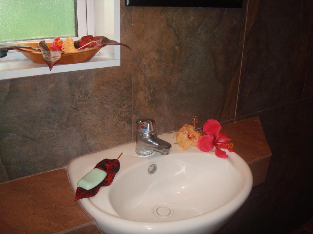 Gecko Lodge Fiji Savusavu Oda fotoğraf
