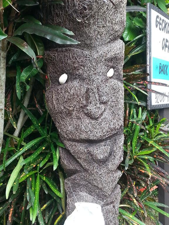 Gecko Lodge Fiji Savusavu Dış mekan fotoğraf