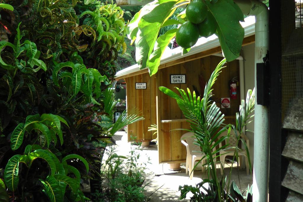 Gecko Lodge Fiji Savusavu Dış mekan fotoğraf