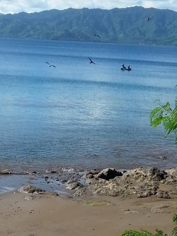 Gecko Lodge Fiji Savusavu Dış mekan fotoğraf