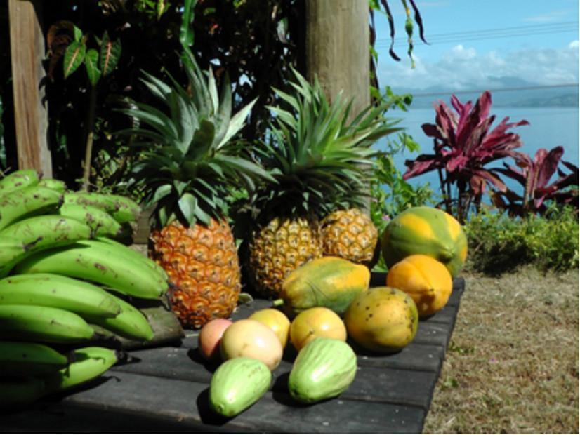 Gecko Lodge Fiji Savusavu Dış mekan fotoğraf