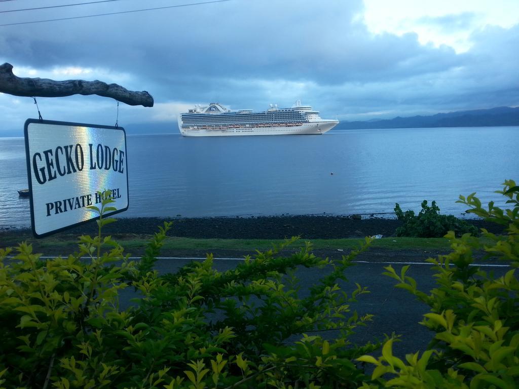 Gecko Lodge Fiji Savusavu Dış mekan fotoğraf