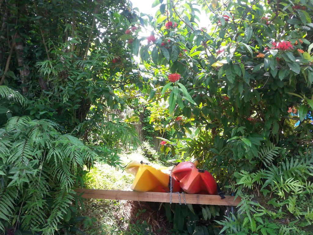 Gecko Lodge Fiji Savusavu Dış mekan fotoğraf