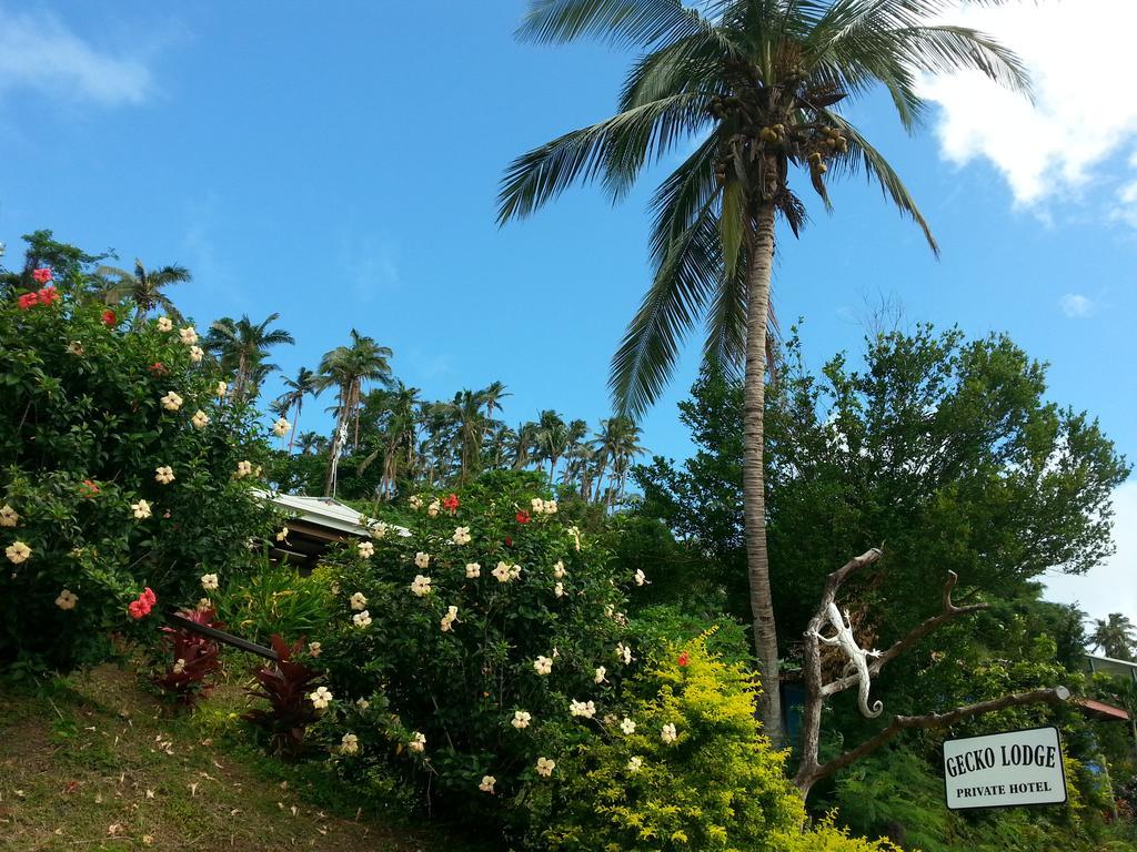Gecko Lodge Fiji Savusavu Dış mekan fotoğraf