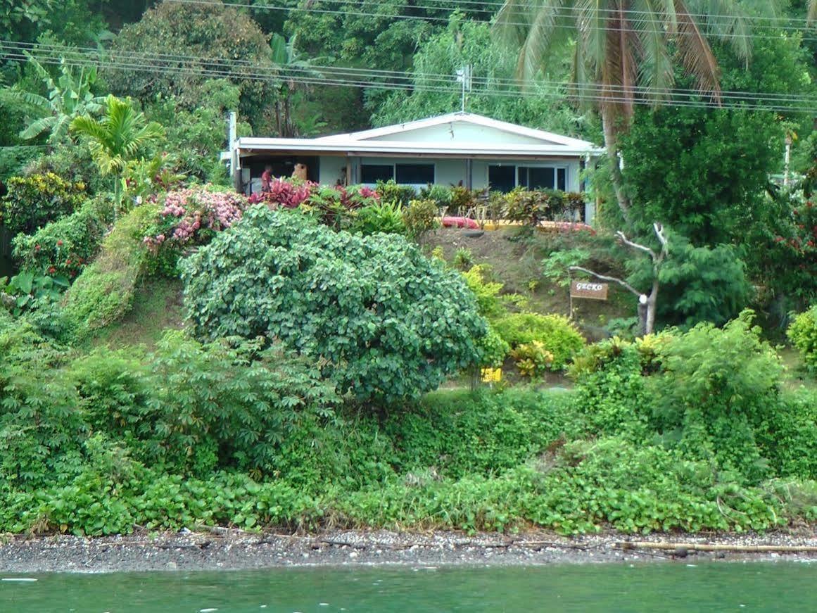Gecko Lodge Fiji Savusavu Dış mekan fotoğraf
